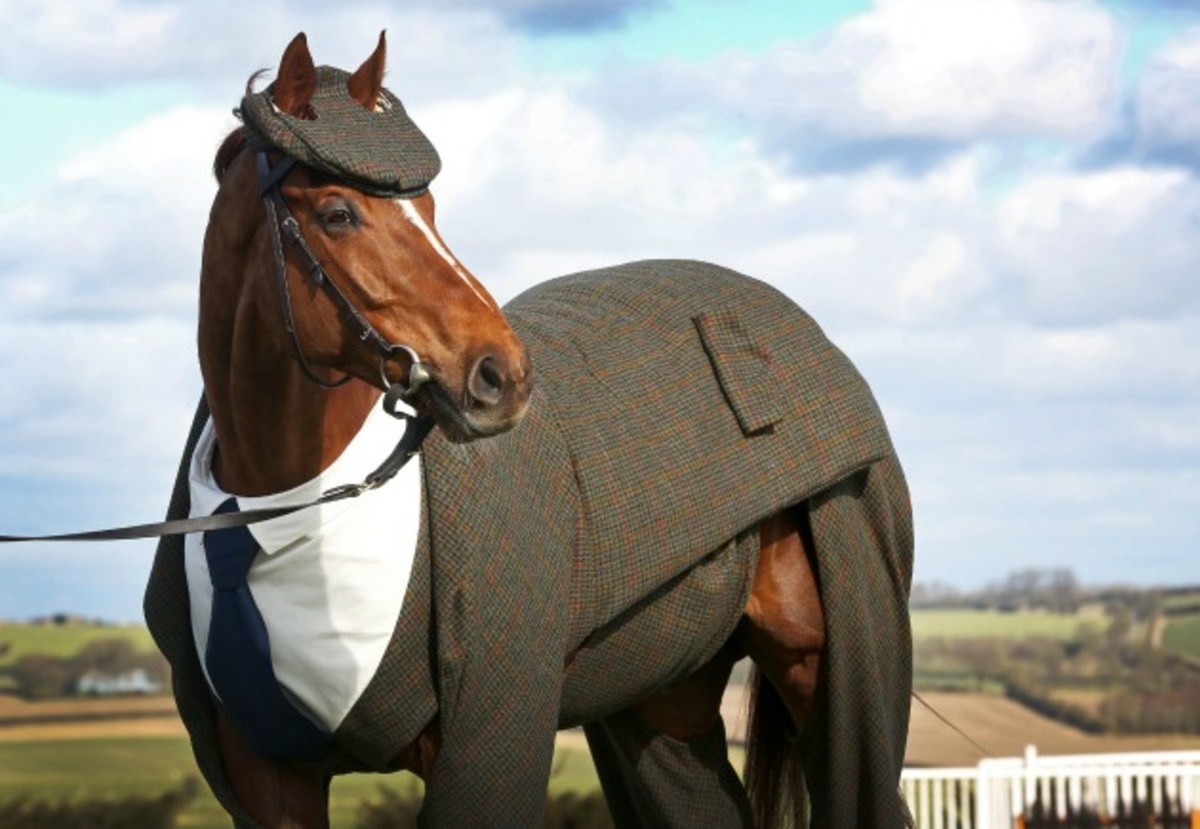 harris-tweed-three-piece-suit-horse-cheltenham-2.jpg