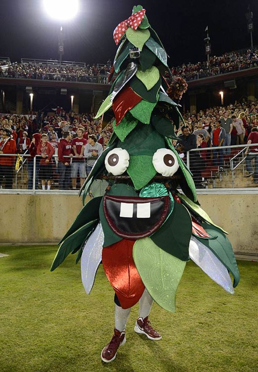 Stanford: The Tree