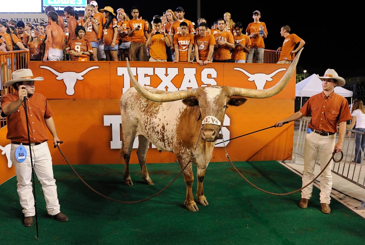 texas-longhorns-mascot-bevo-opm5-29034.jpg