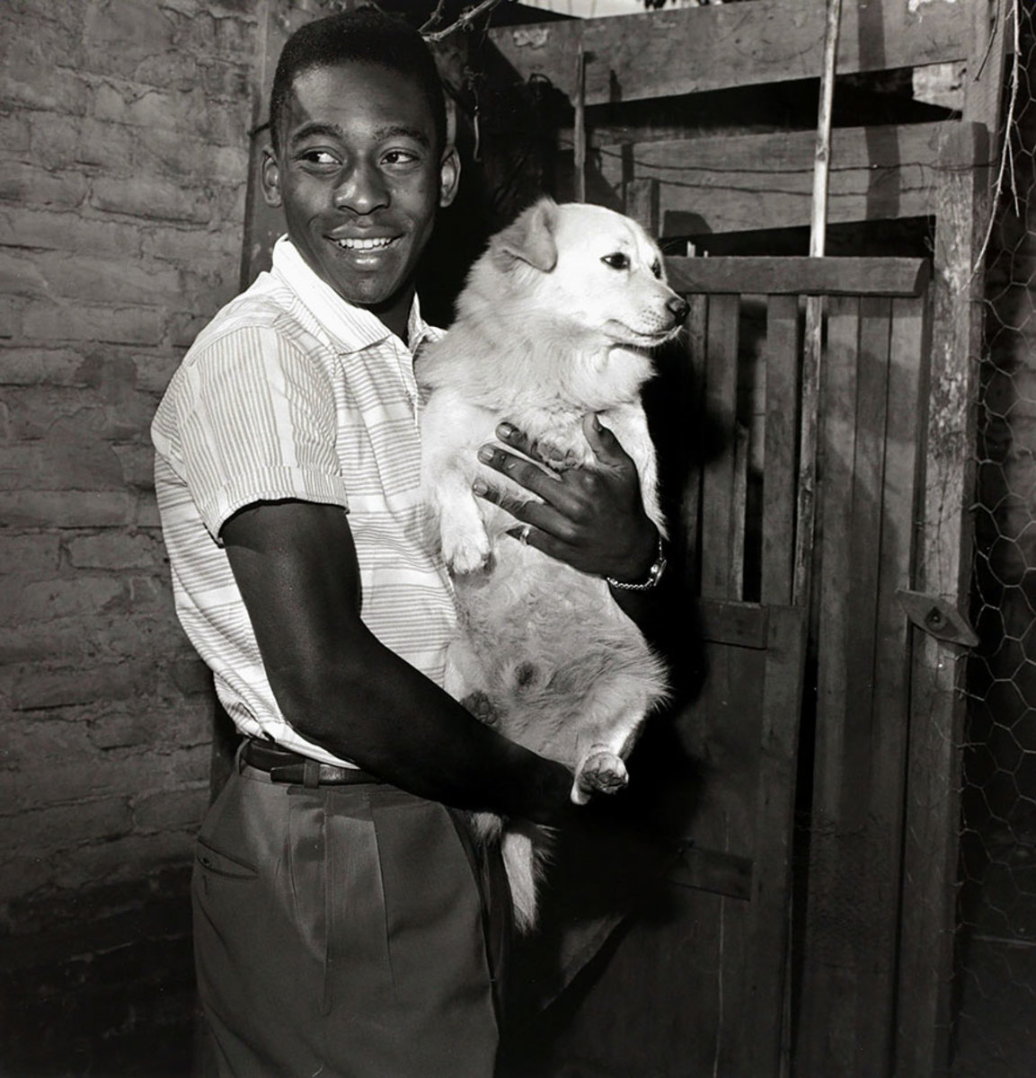 1958-Pele-dog.jpg