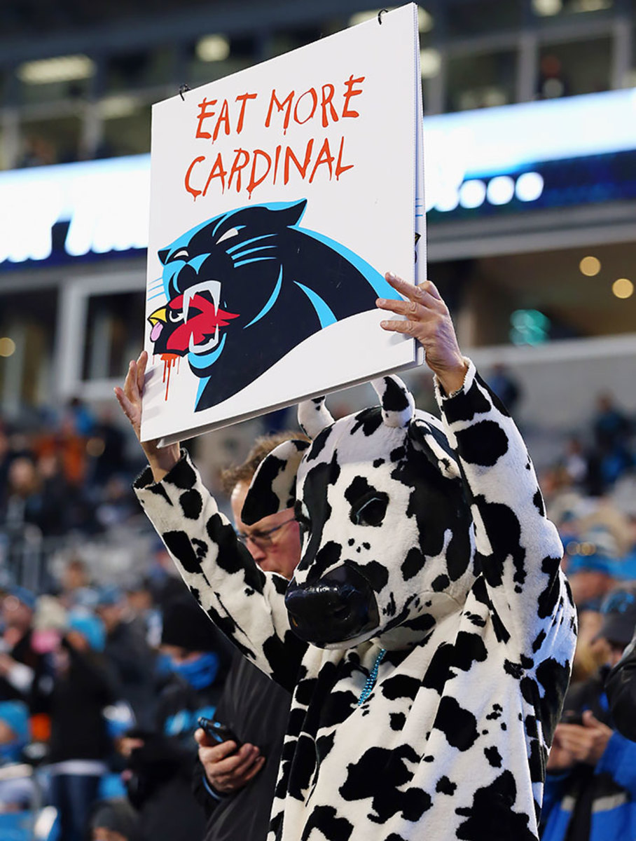 2016-0124-Carolina-Panthers-cow-fan.jpg