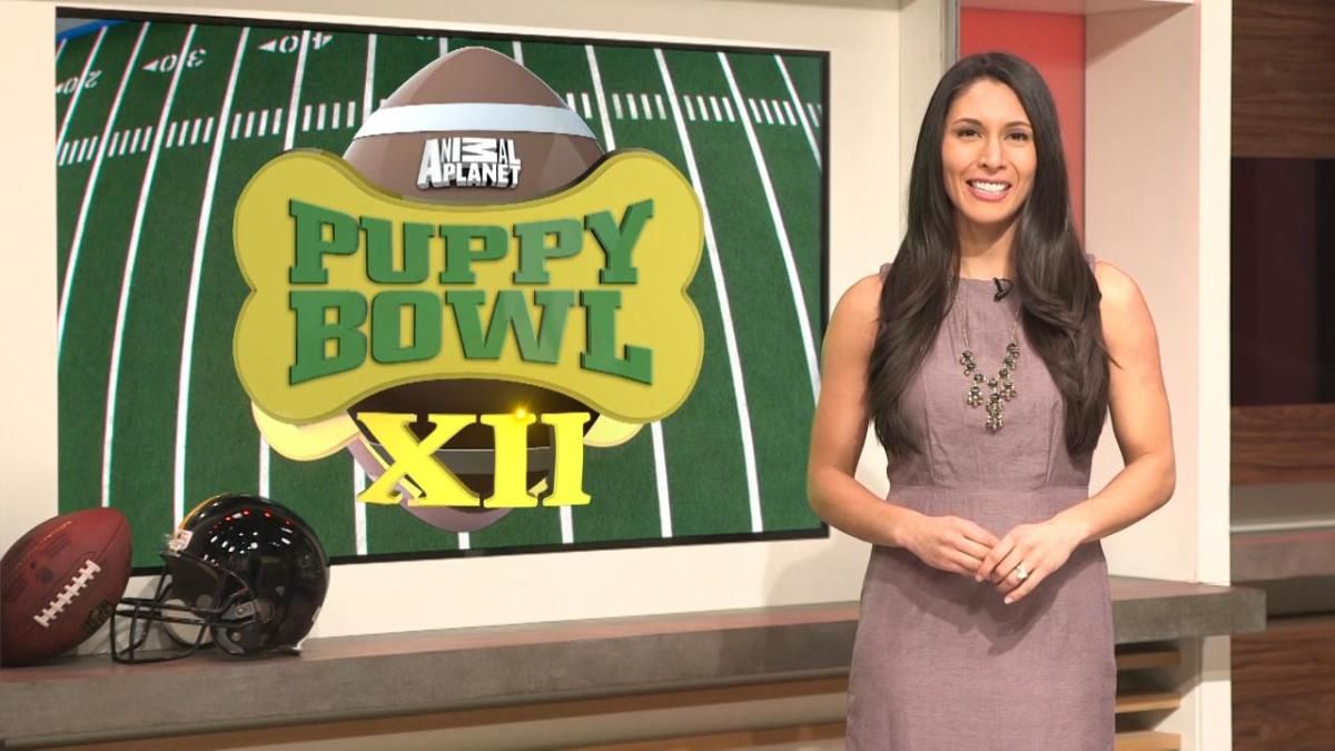 Extra Mustard’s Puppy Bowl Power Rankings - Sports Illustrated