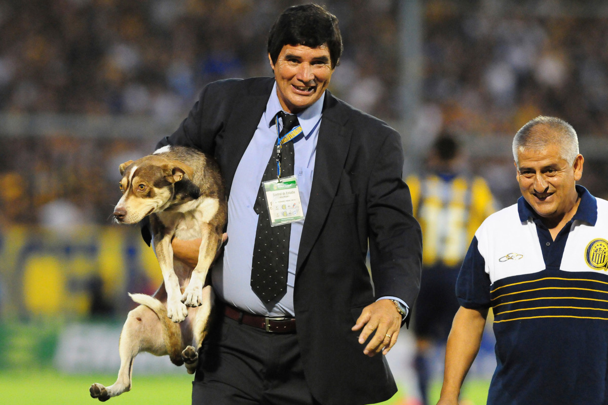 Dog-Pitch-Invader-5.jpg