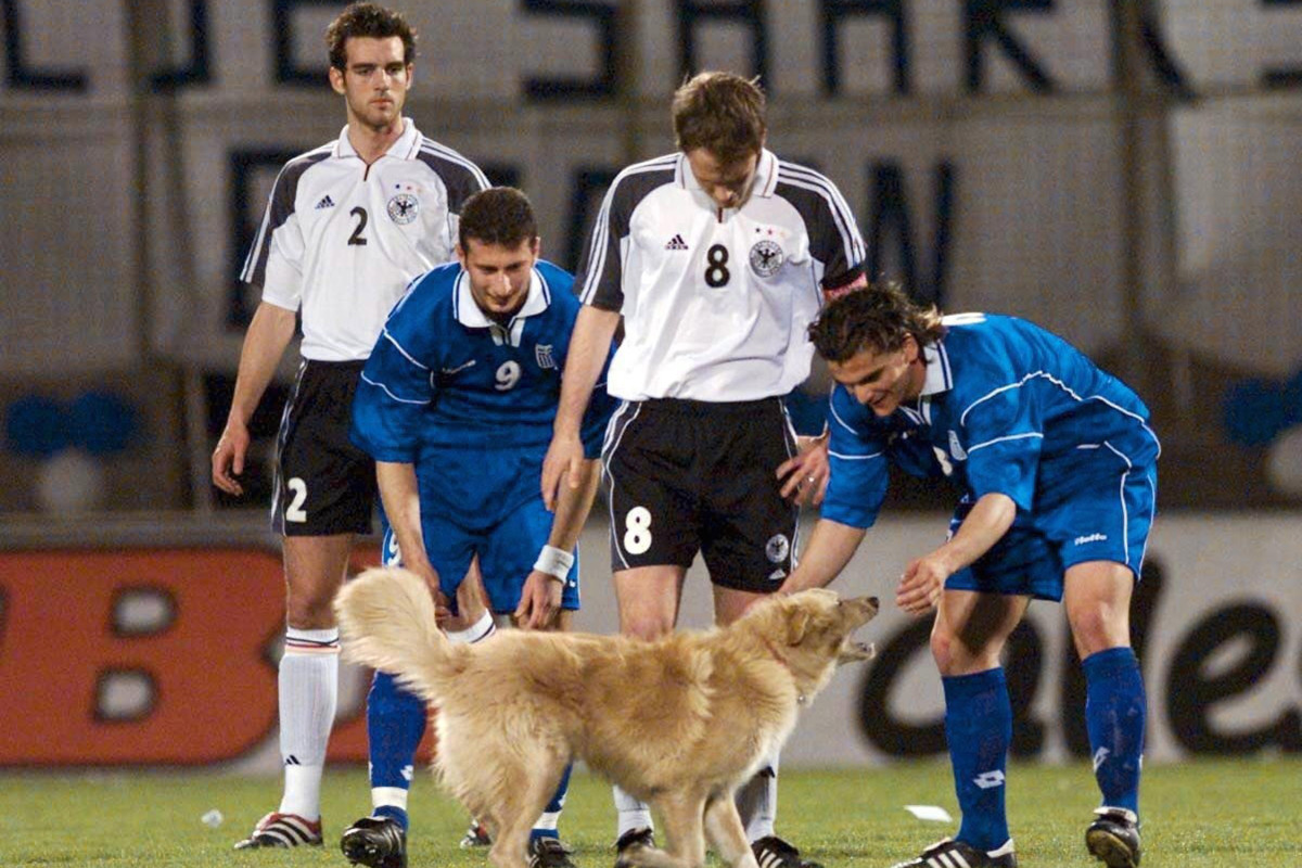 Dog-Pitch-Invader-9.jpg