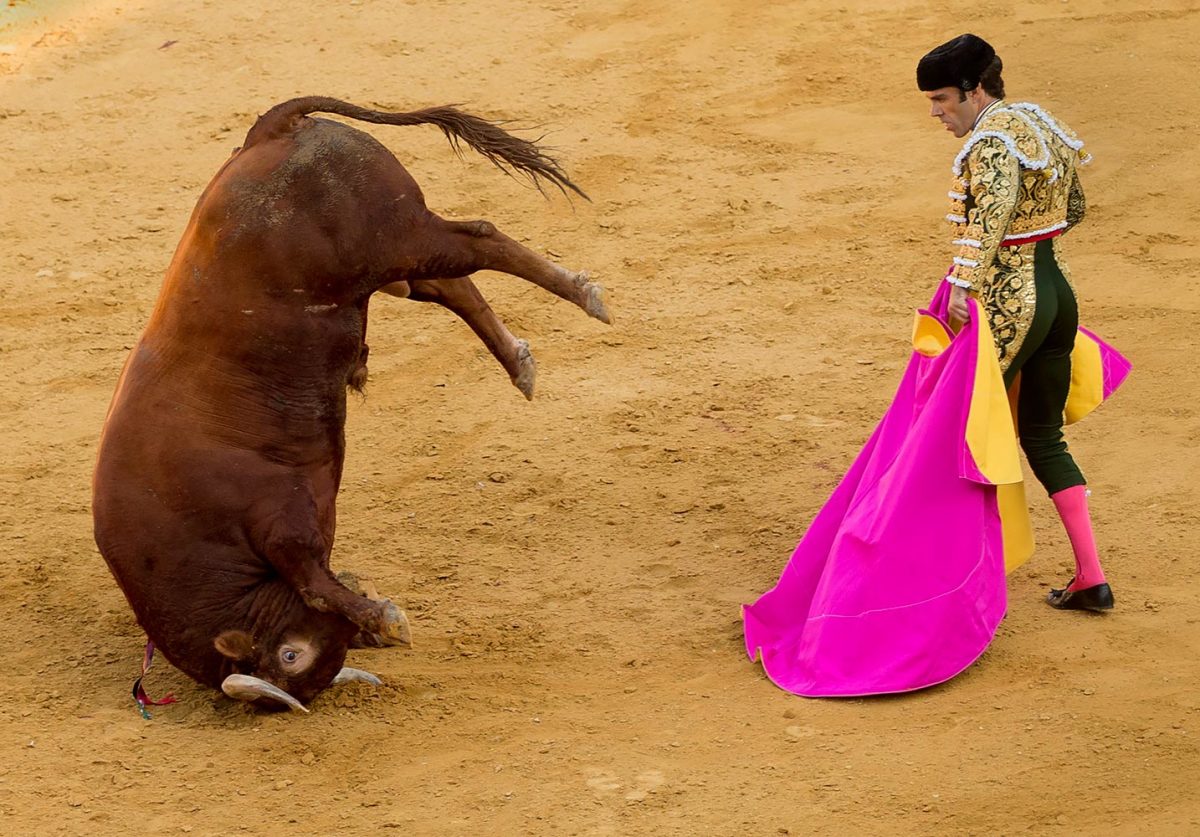 2016-0909-bullfighter-Jose-Tomas.jpg