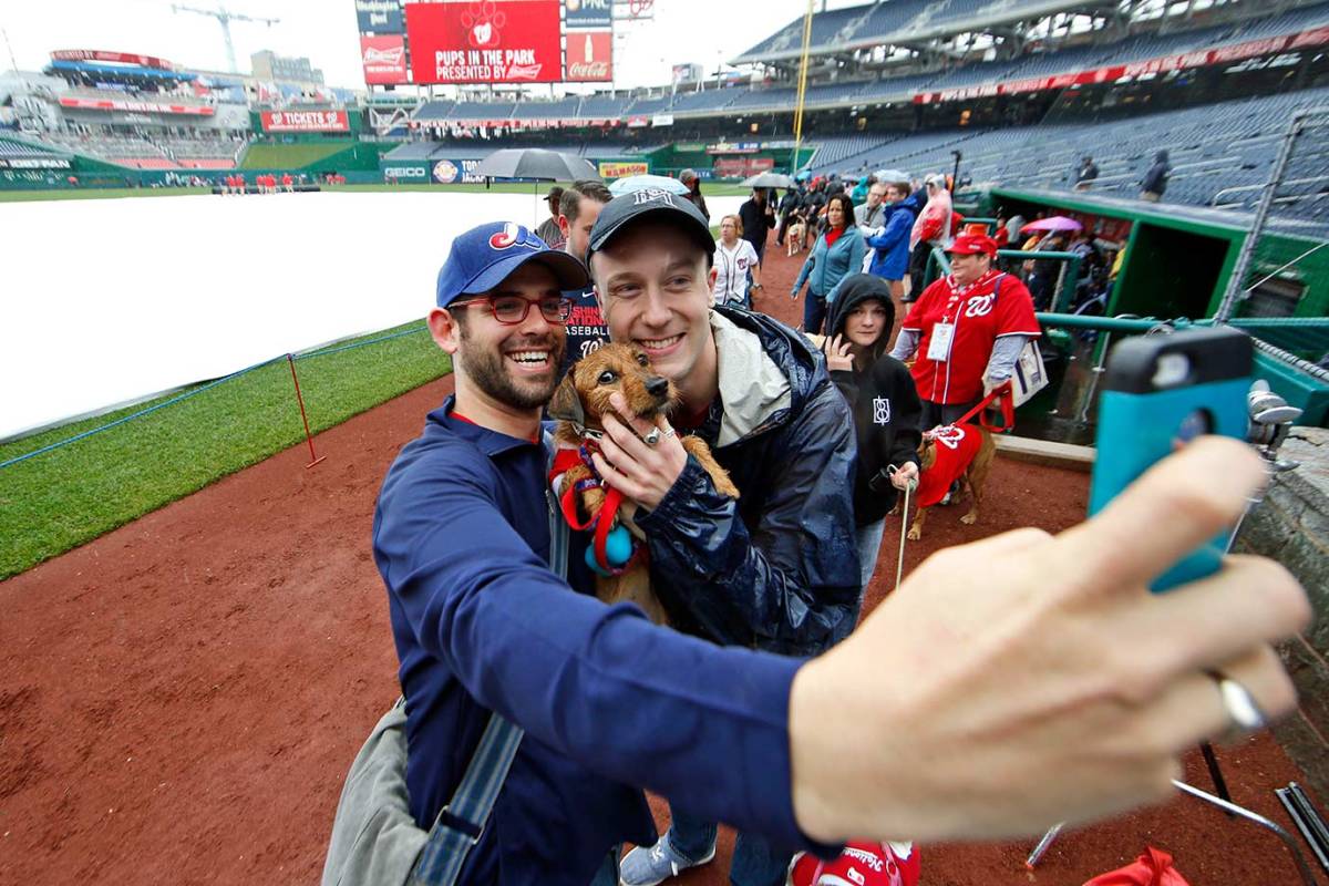 Washington-Nationals-Bark-at-the-Park-dogs-4d054ff2e1b34291a42fb1457b68423b-0.jpg