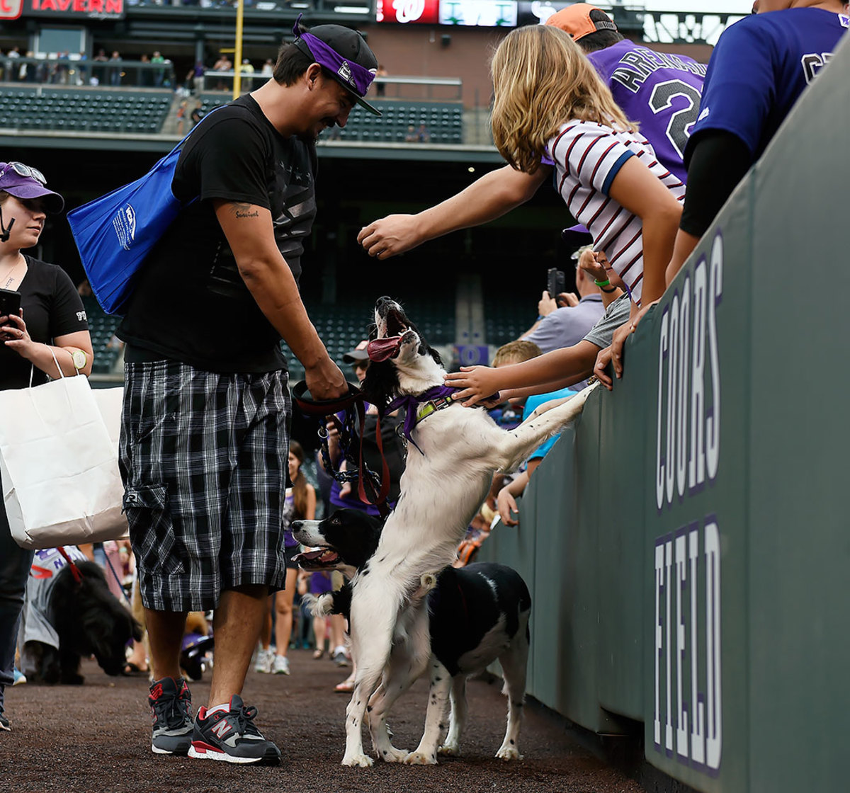 Colorado-Rockies-Bark-at-the-Park-dogs-GettyImages-590515800_master.jpg