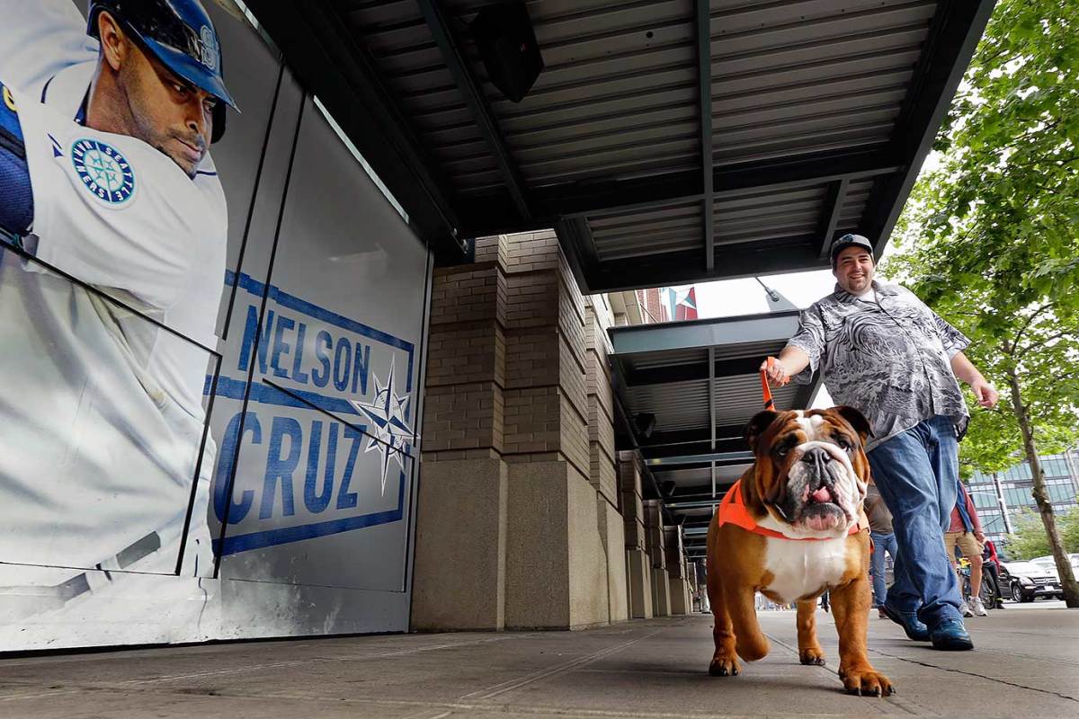 Seattle-Mariners-Bark-at-the-Park-dogs-d3d8458541fb40f7905d4072b85f67b9-0.jpg