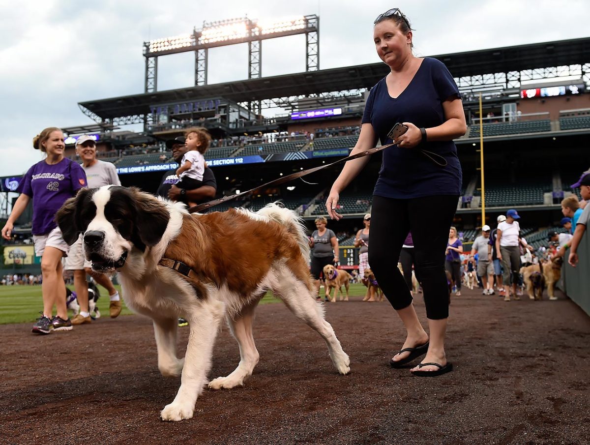 Colorado-Rockies-Bark-at-the-Park-dogs-GettyImages-590515766_master.jpg