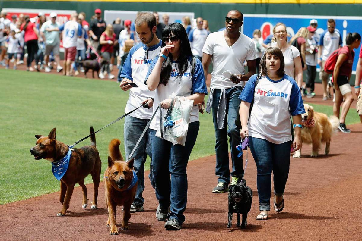 Arizona-Diamondbacks-Bark-at-the-Park-dogs-1d21aab9c6c34b8590c366f3e5fac046-0.jpg