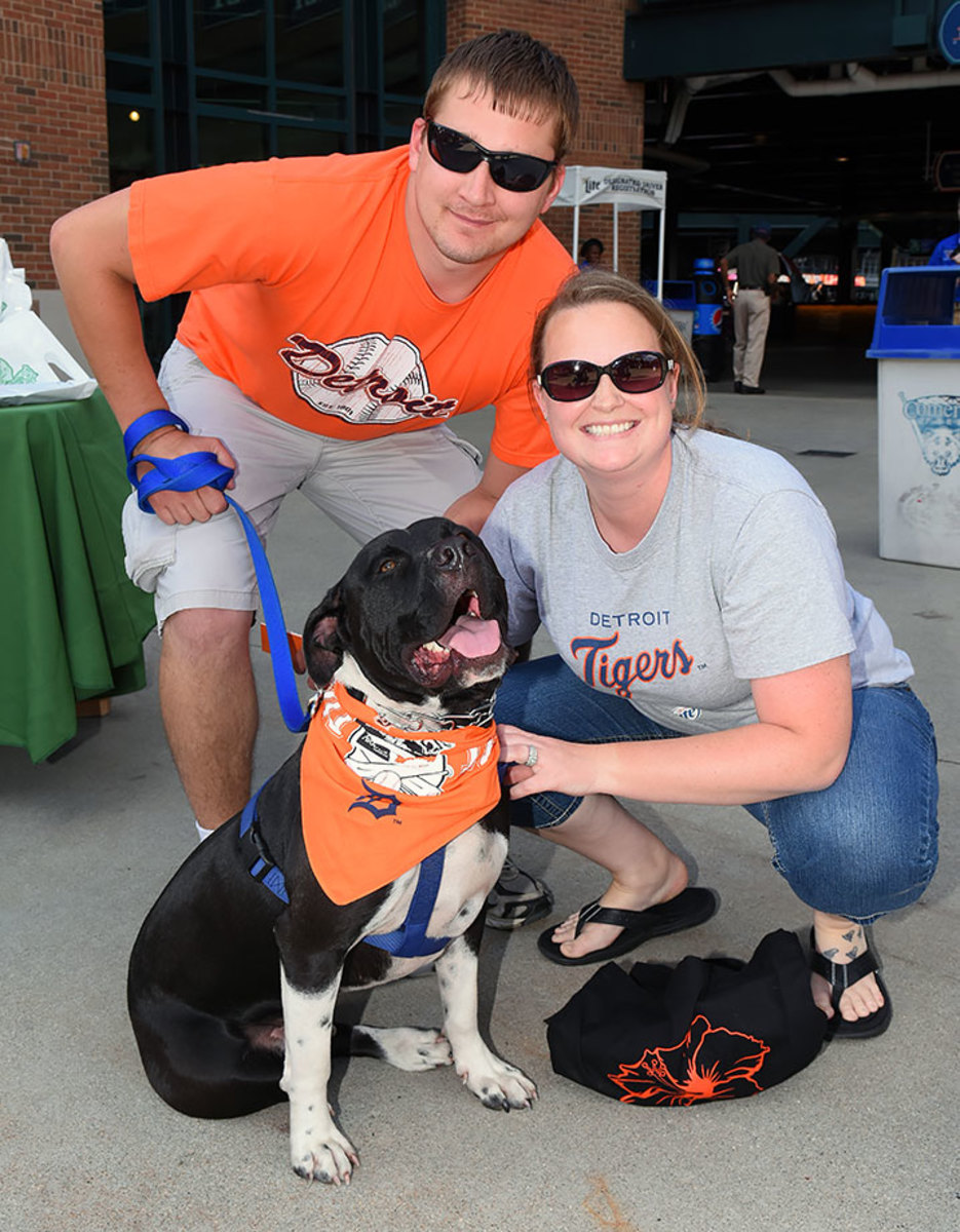 Detroit-Tigers-Bark-at-the-Park-dogs-GettyImages-545137168_master.jpg