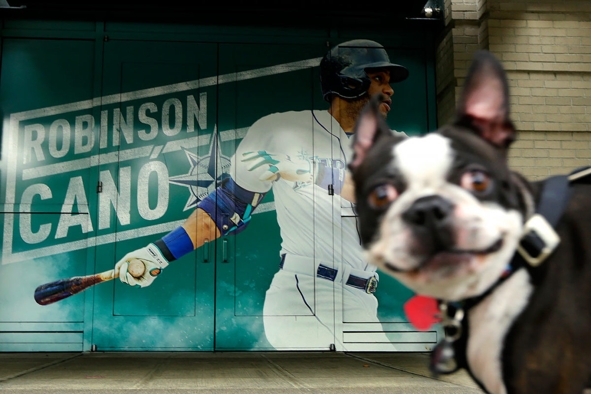 Seattle-Mariners-Bark-at-the-Park-dogs-953d8a7bc30748ccae1cf36499578f47-0.jpg