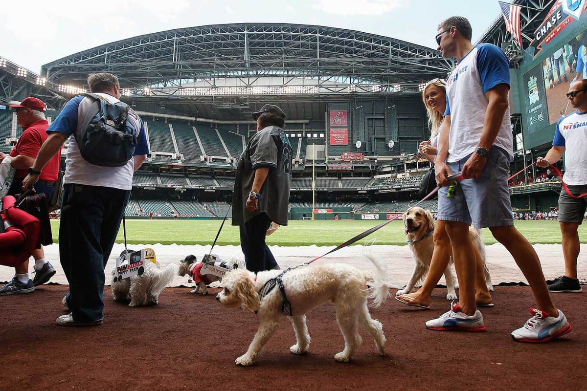 Arizona-Diamondbacks-Bark-at-the-Park-dogs-a9b57e60210b4389ba97b3635afae944-0.jpg