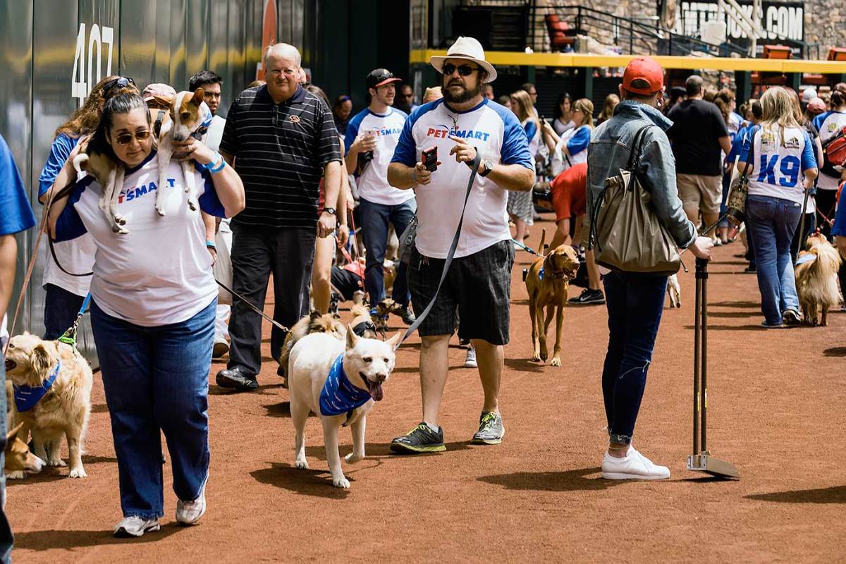 Arizona-Diamondbacks-Bark-at-the-Park-dogs-10097ad45d94400686896a210dca7d2c-0.jpg