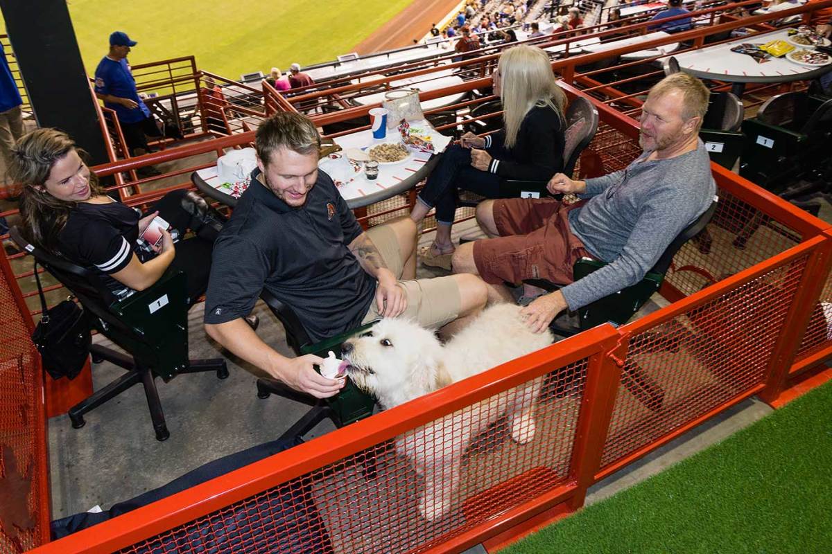 Arizona-Diamondbacks-Bark-at-the-Park-dogs-AP_261759188358.jpg