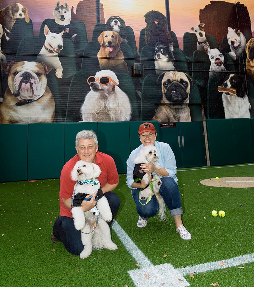 Arizona-Diamondbacks-Bark-at-the-Park-dogs-AP_802722253824.jpg