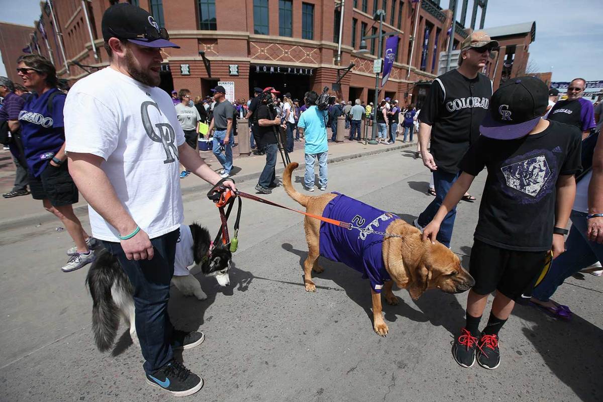 Colorado-Rockies-Bark-at-the-Park-dogs-519843070.jpg