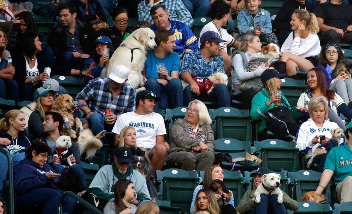 Seattle-Mariners-Bark-at-the-Park-dogs-12a3cb60ecf242efbf414780128a2db0-0.jpg