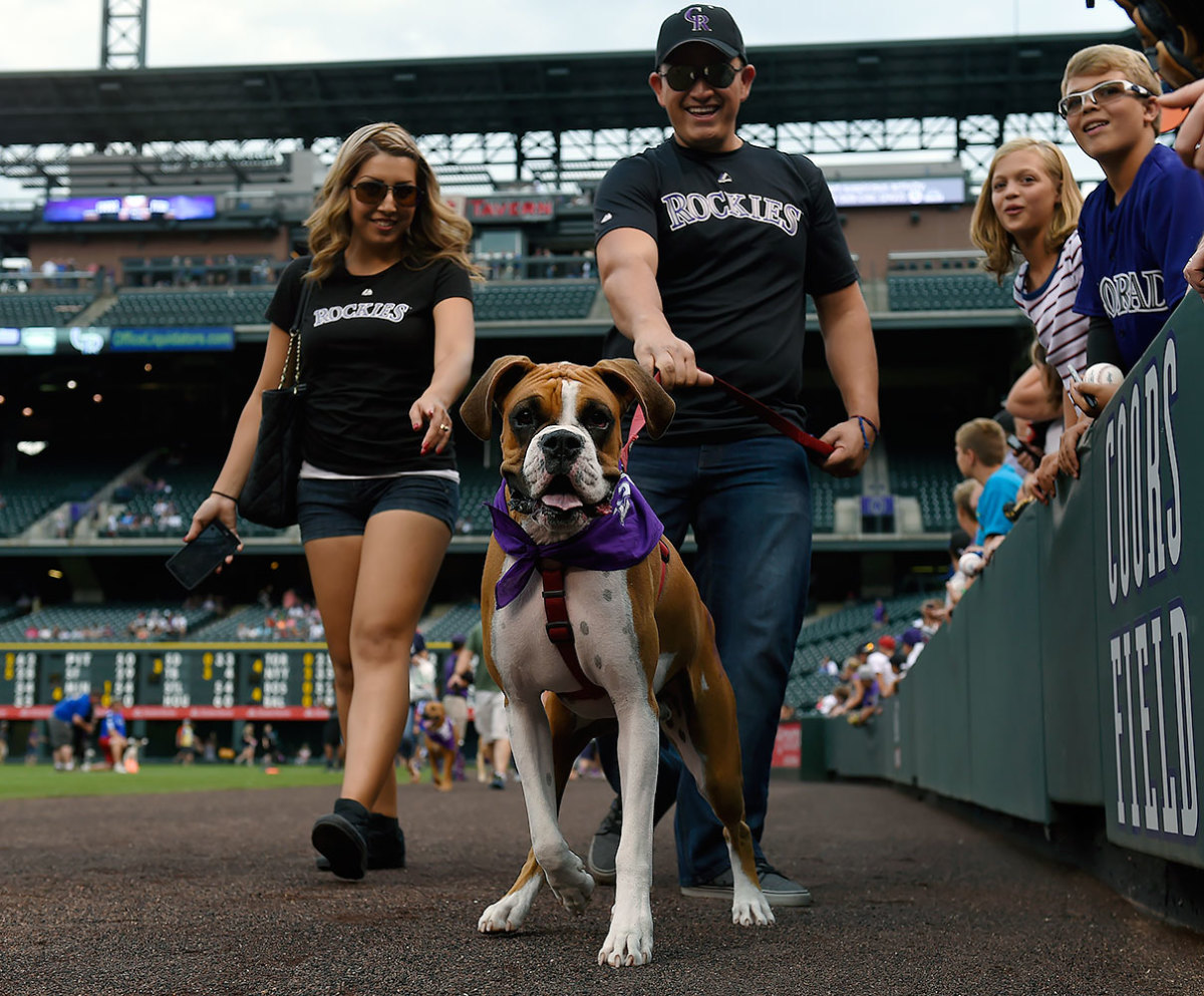Bark in the Park: Ballpark Dogs - Sports Illustrated