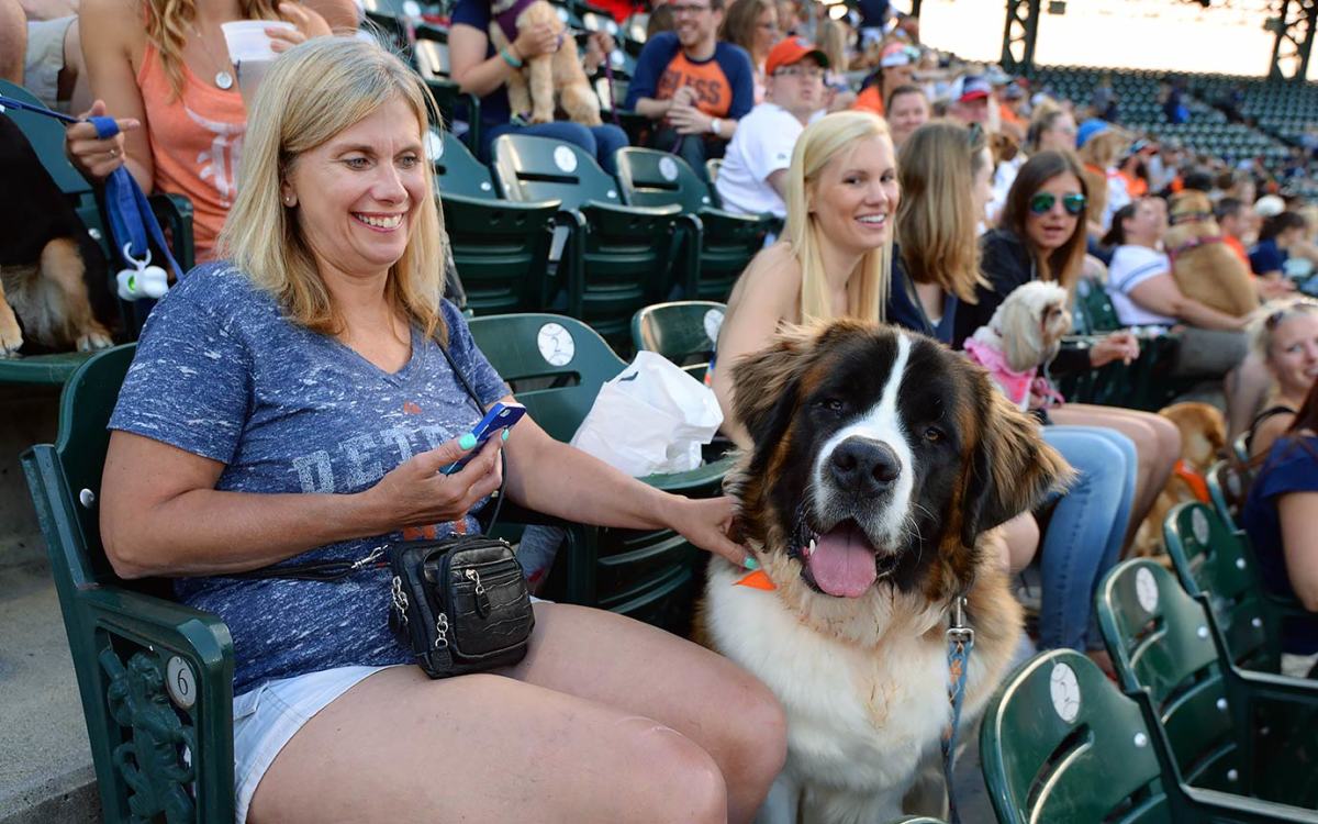 Detroit-Tigers-Bark-at-the-Park-dogs-GettyImages-545140466_master.jpg