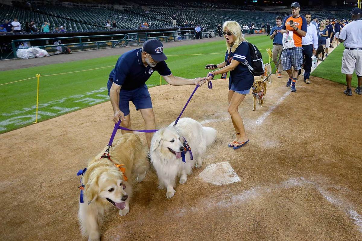 Seattle-Mariners-Bark-at-the-Park-dogs-7688361a5b434f41824d94492a686156-0.jpg