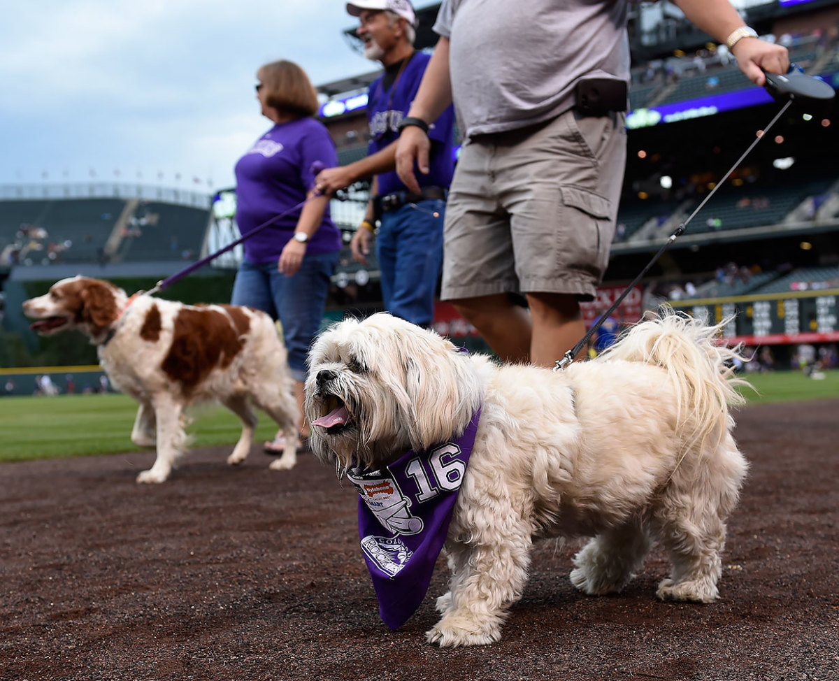 Colorado-Rockies-Bark-at-the-Park-dogs-GettyImages-590515776_master.jpg