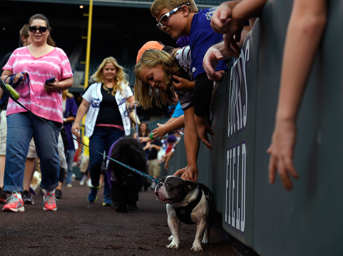 Colorado-Rockies-Bark-at-the-Park-dogs-GettyImages-590515764_master.jpg