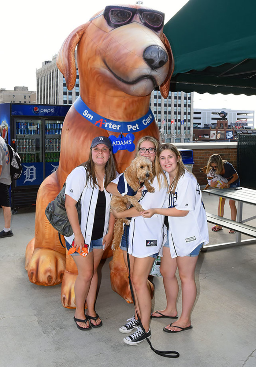 Detroit-Tigers-Bark-at-the-Park-dogs-GettyImages-545137588_master.jpg