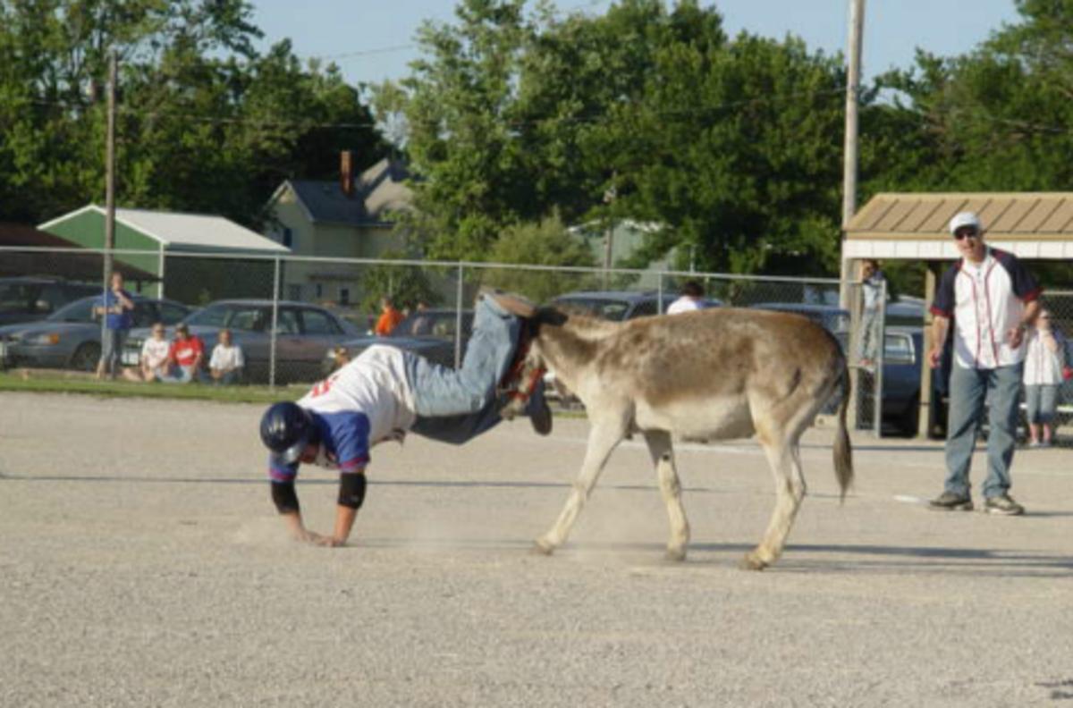 New Mexico’s Ortero county will host donkey baseball game Sports
