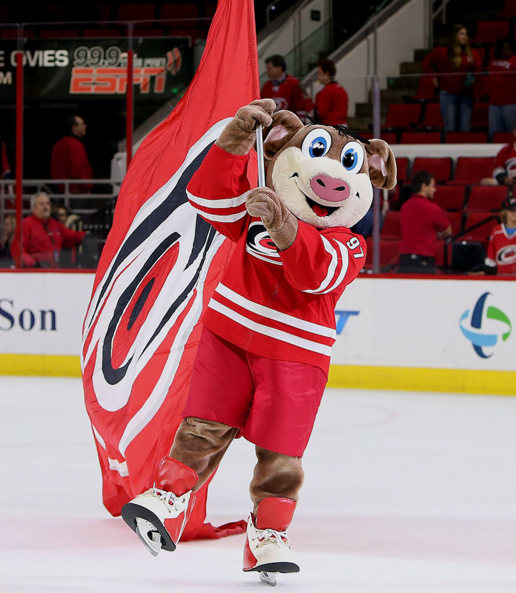 Carolina Hurricanes: Is Hamilton the best Animal Mascot?