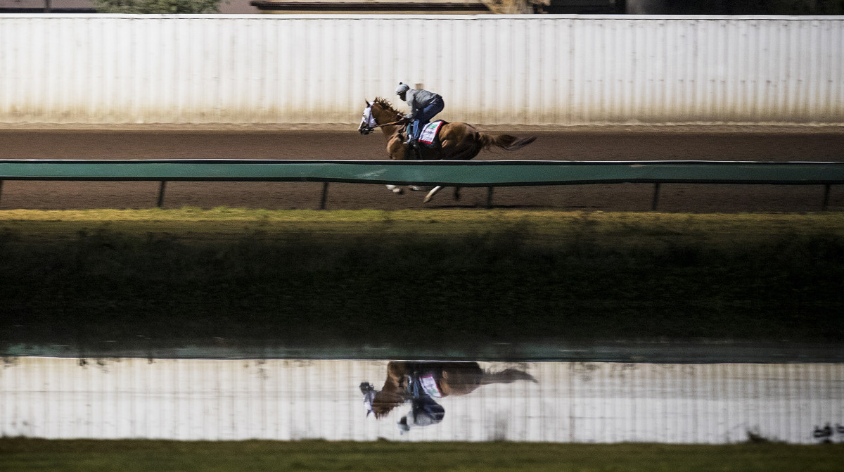 california-chrome-wideshot.jpg