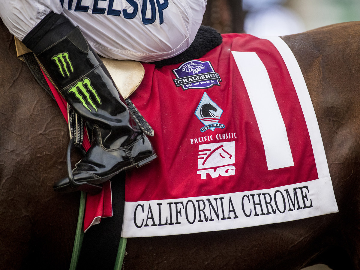 california-chrome-closeup-horse.jpg