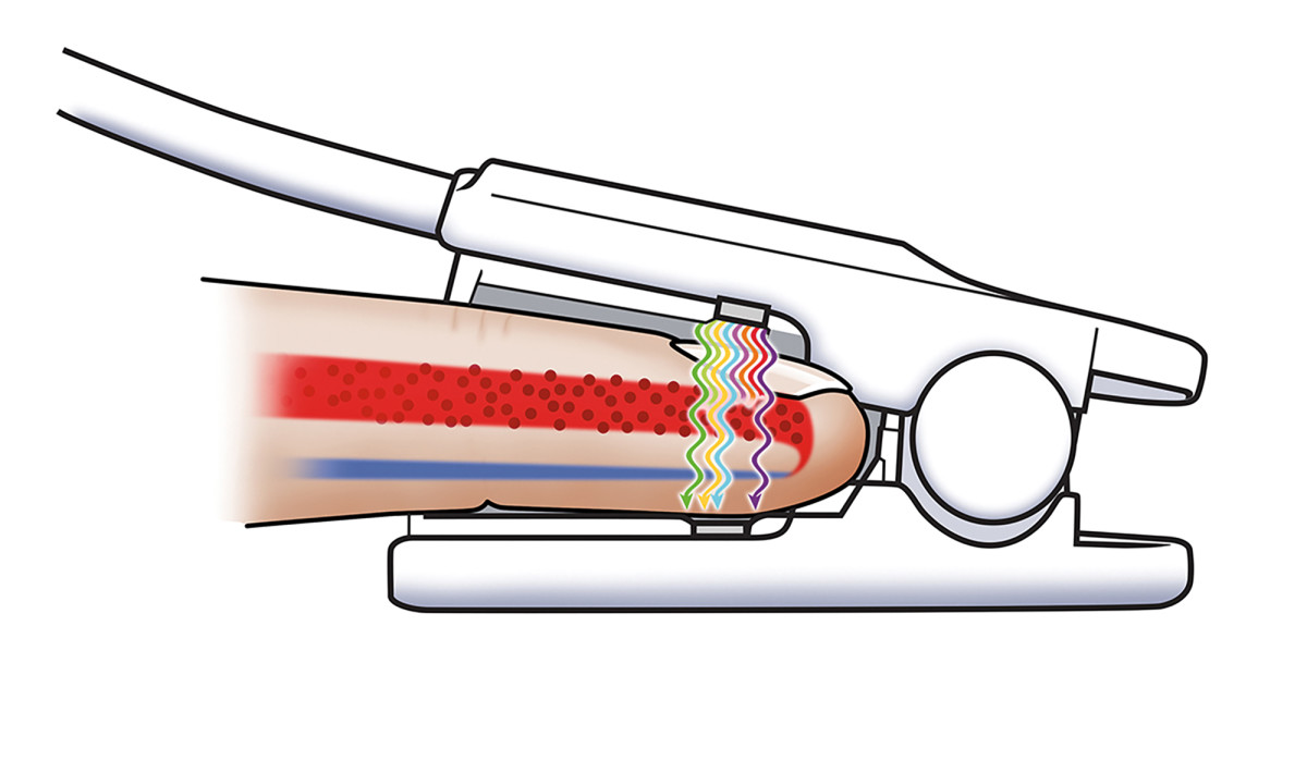 ember-hemoglobin-test-illustration-graphic.jpg
