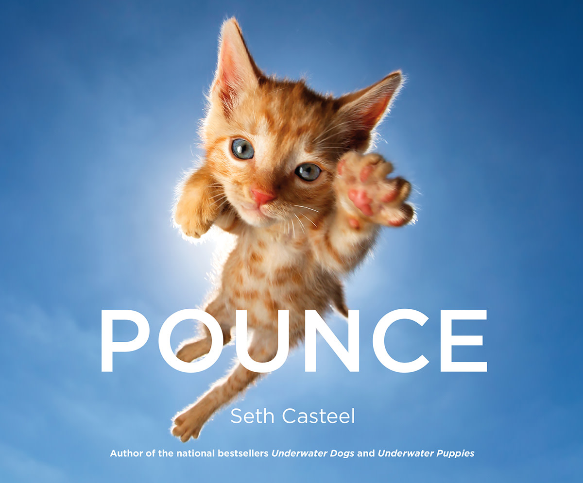 Pounce_Cover_low.jpg