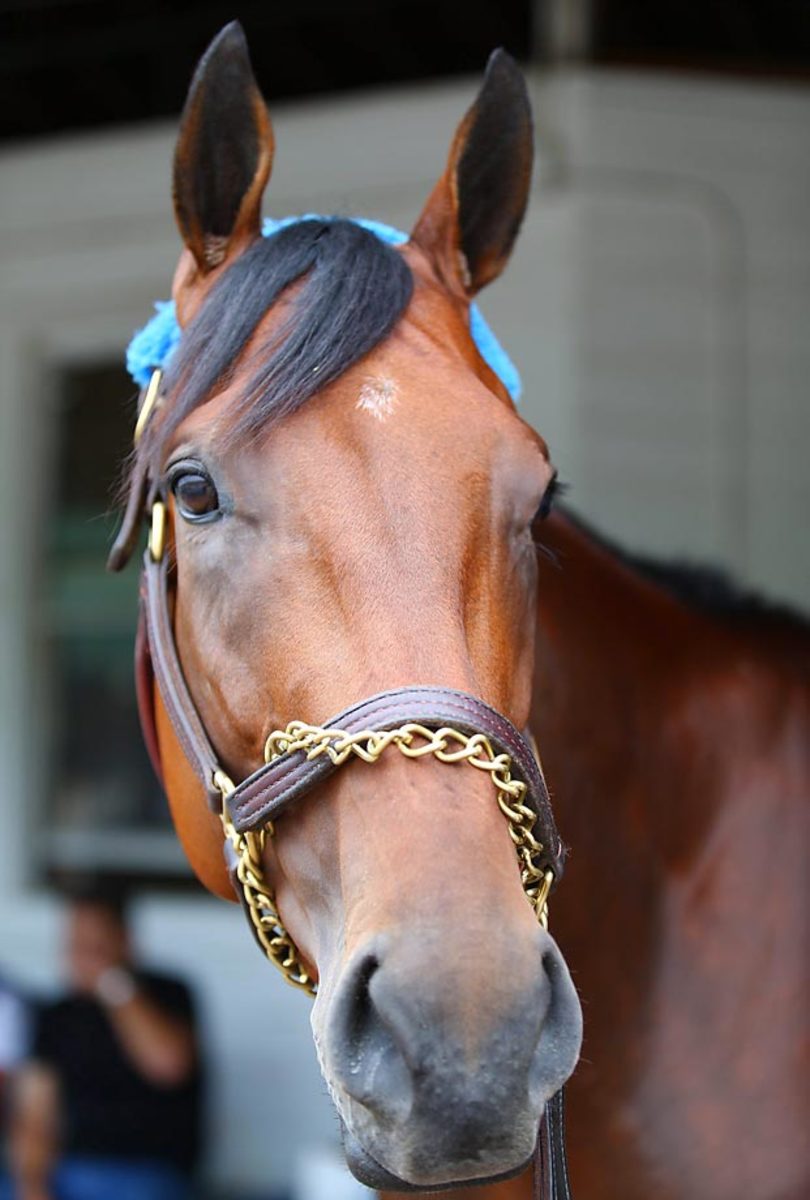 american-pharoah.jpg