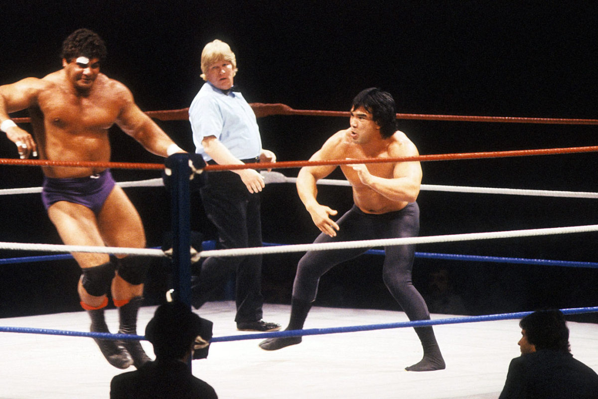 Ricky-The-Dragon-Steamboat-Don-Muraco.jpg