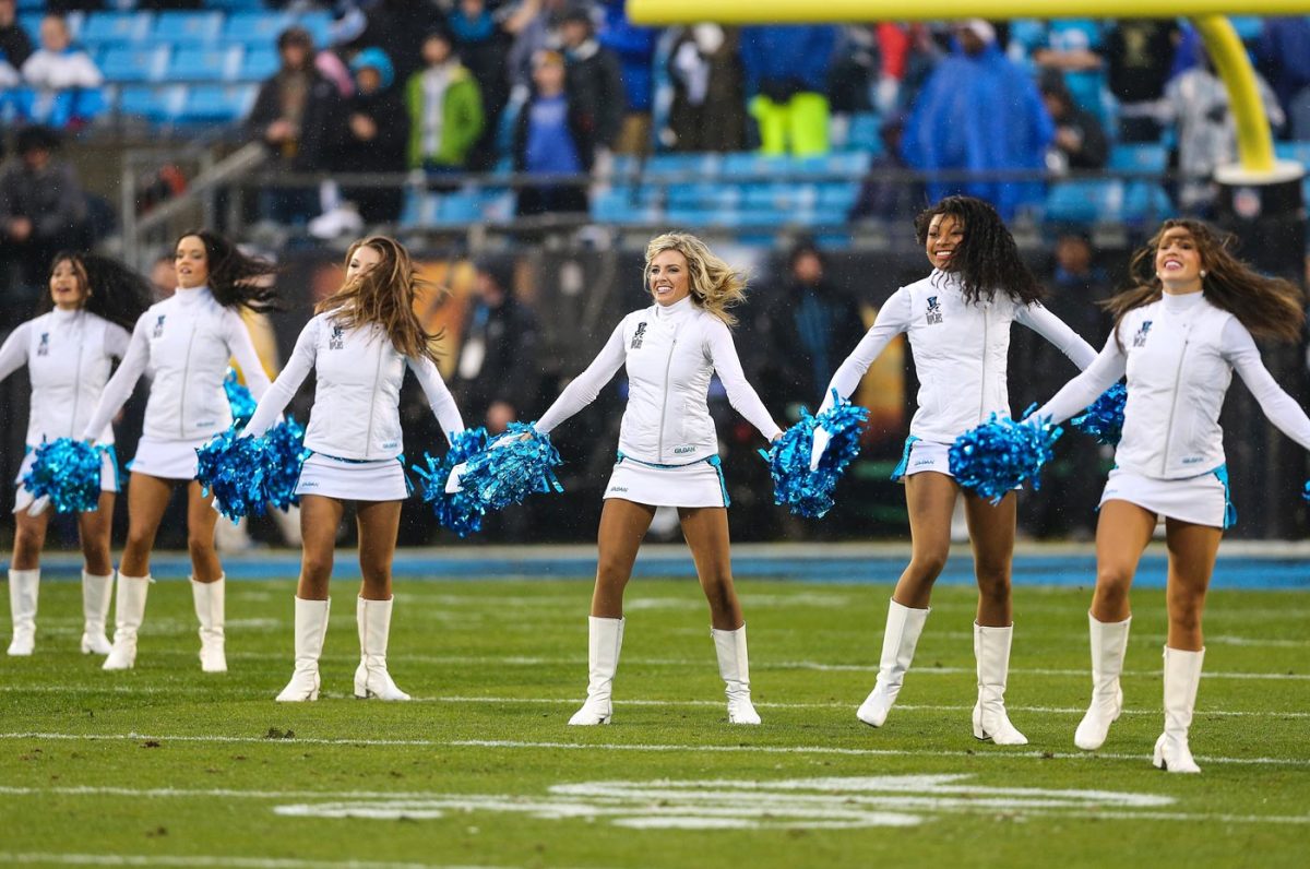 Carolina-Panthers-TopCats-cheerleaders-CDA150103016_Arizona_at_Carolina.jpg