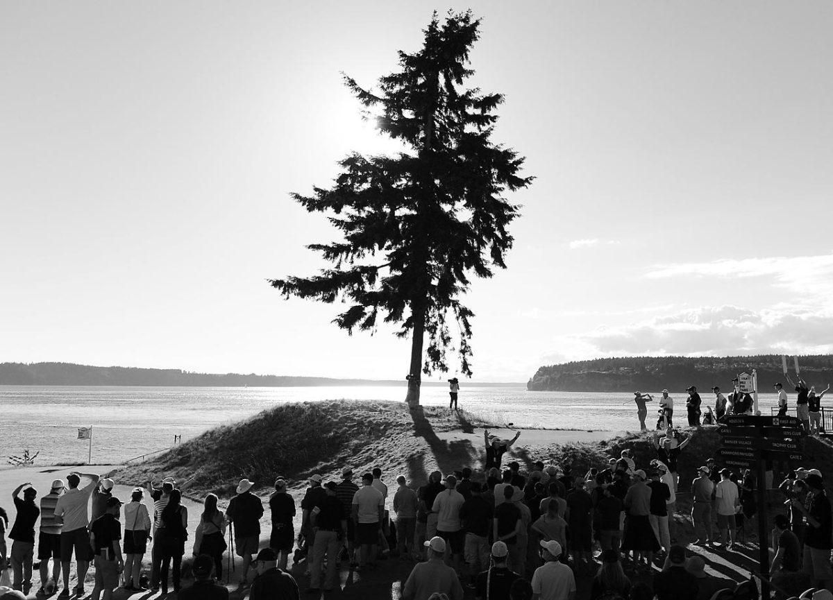 02-us-open-X159712_TK3_3347.jpg