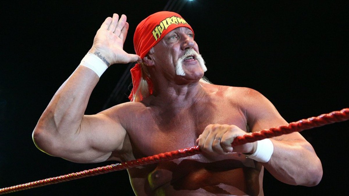 Hulk Hogan challenged to 1 million match by Scott Steiner Sports