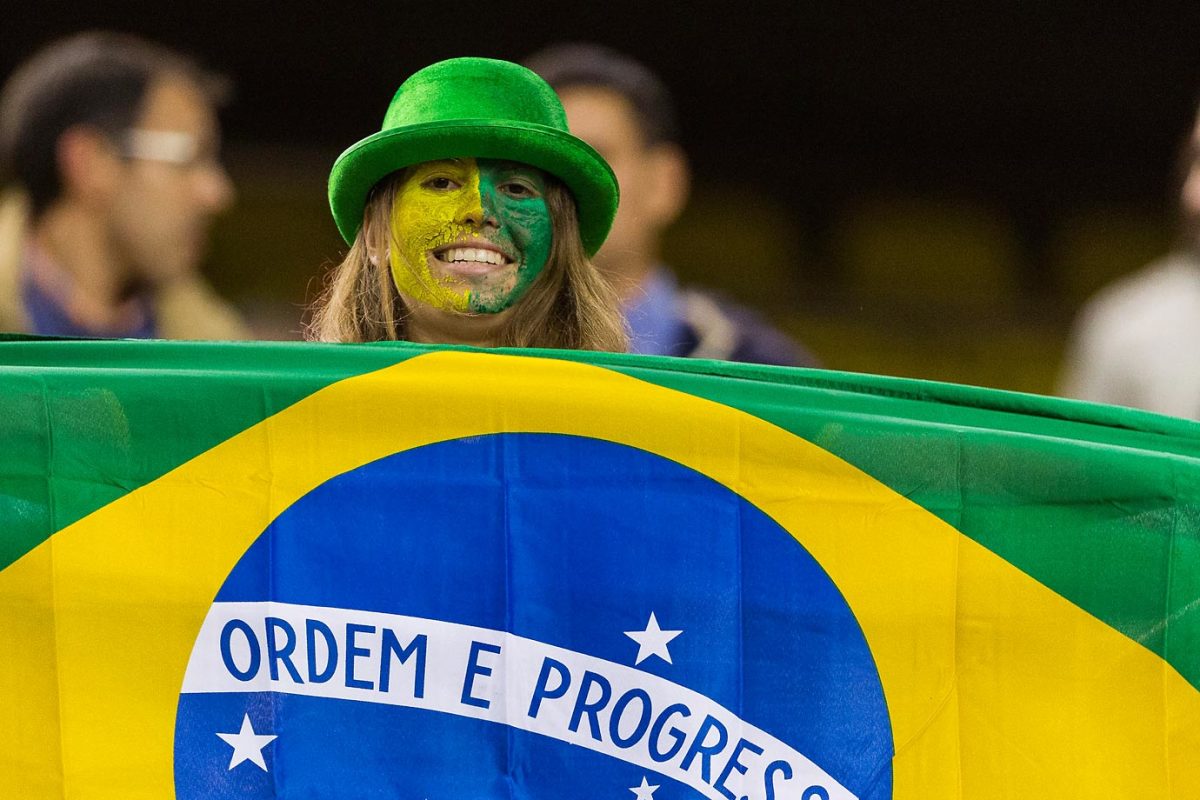 fans_60935_Brazil_v_Korea.jpg