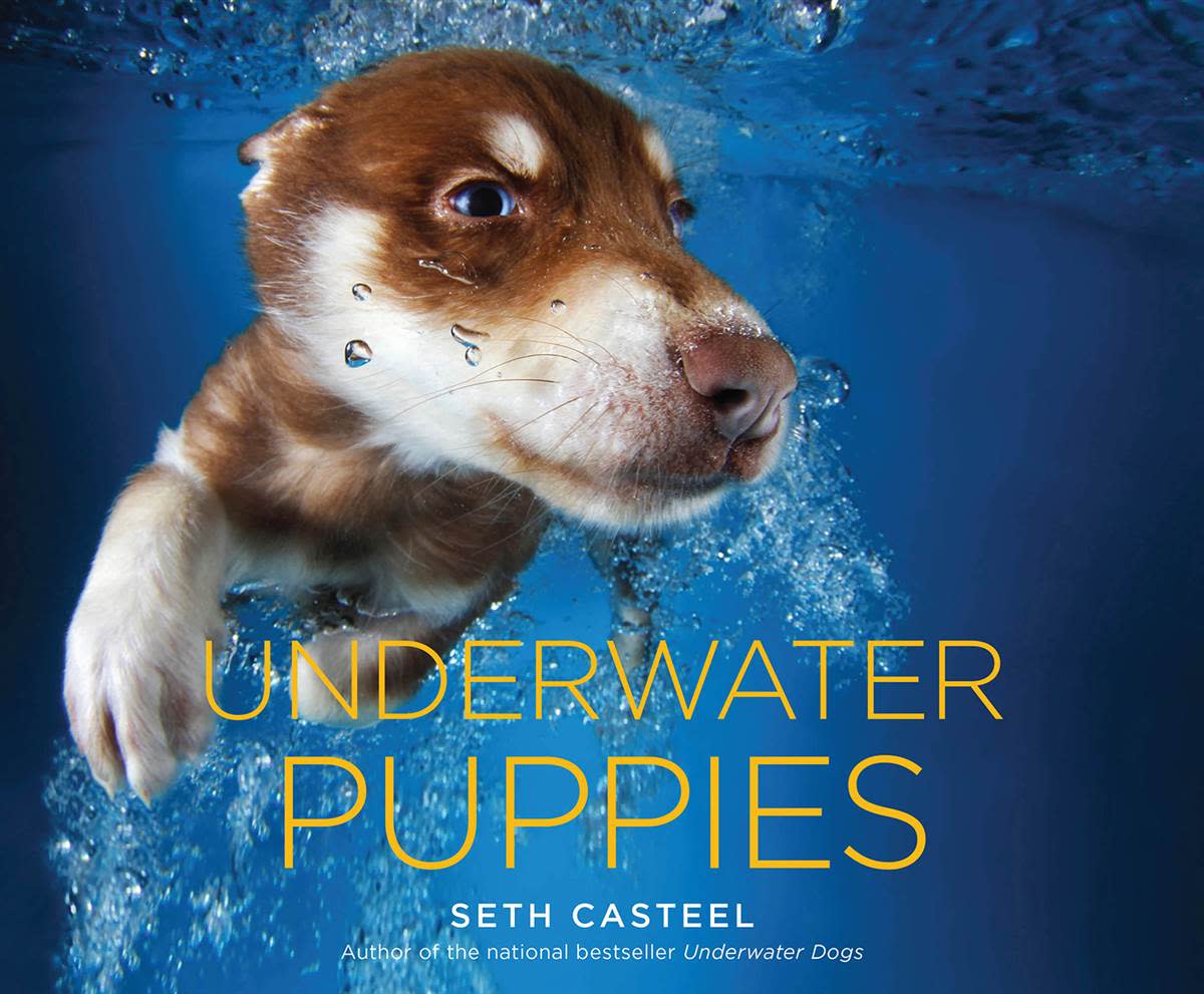 Underwater Puppies book cover.jpg