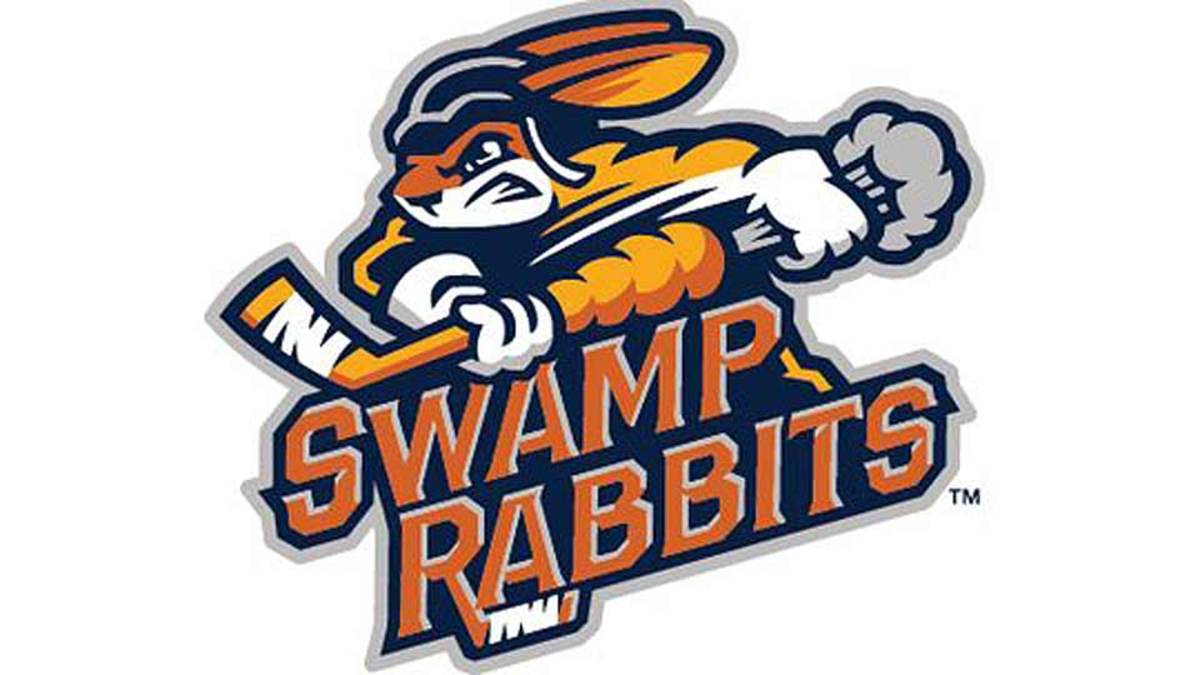 Swamp Rabbits  Ice hockey jersey, Hockey jersey, Jersey design