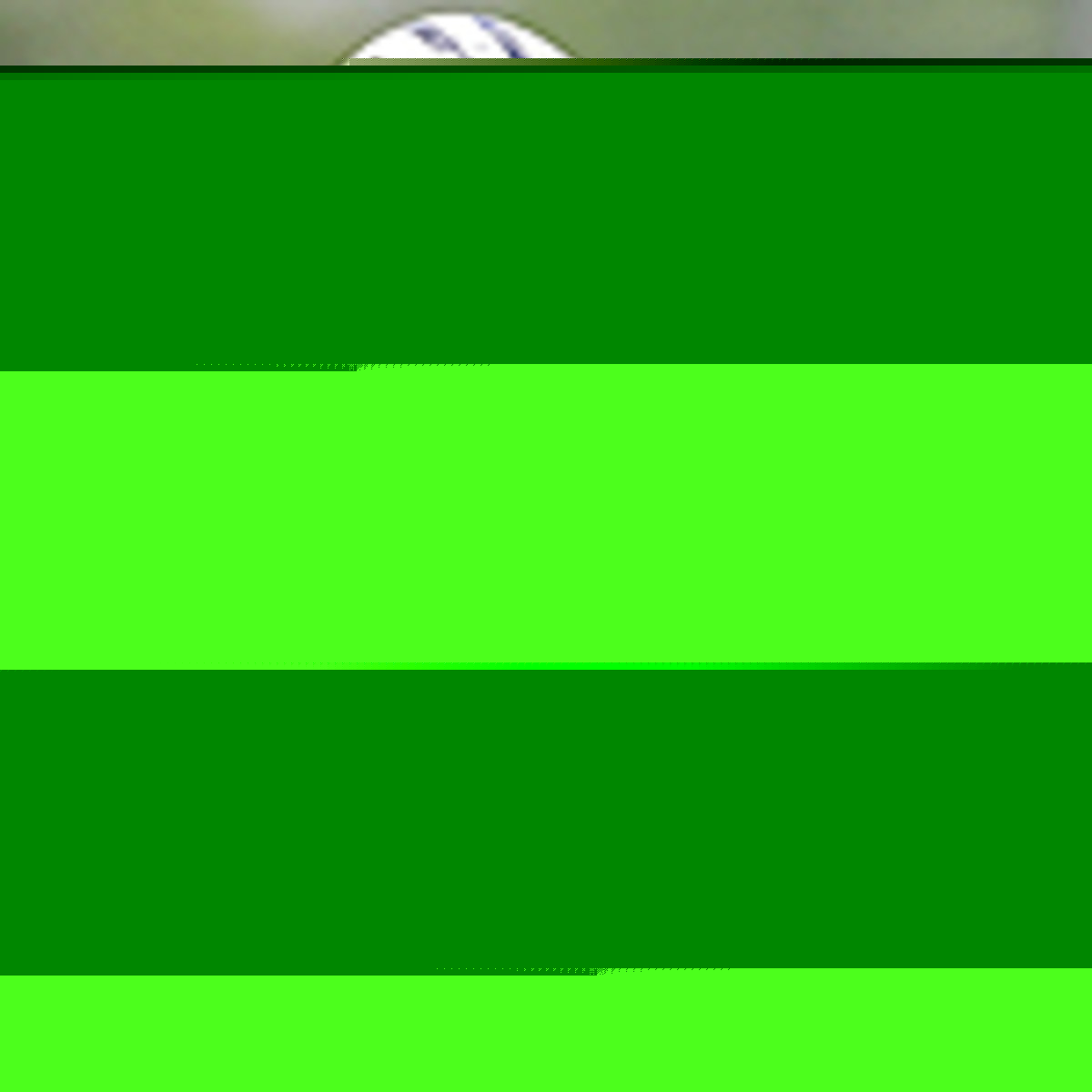 Image placeholder title