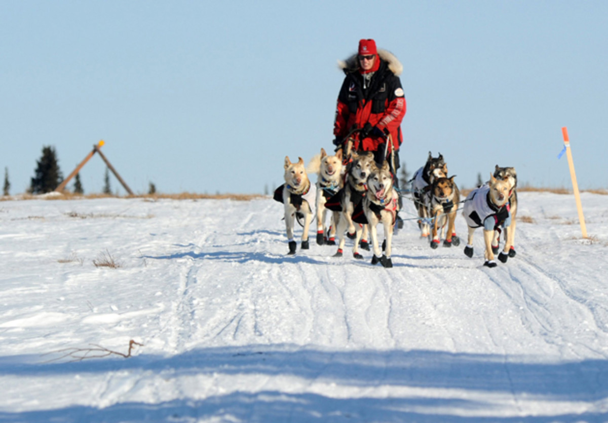 Zirkle drives her dog team across the portage from Kaltag to Unalakleet during the 2014 Iditarod.