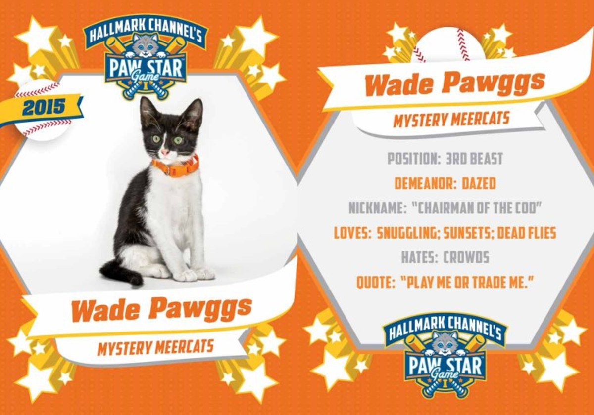 wade-pawggs.jpg