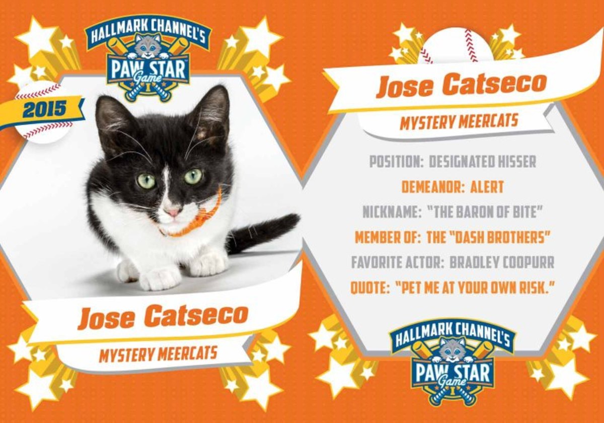 Jose-Catseco.jpg