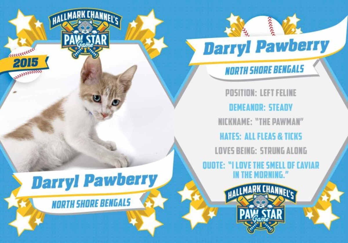 Darryl-pawberry.jpg