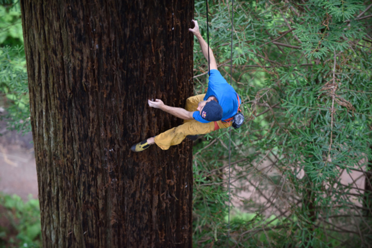 chris-sharma-freeclimbing-redwood-great-ascent-630_0.jpg