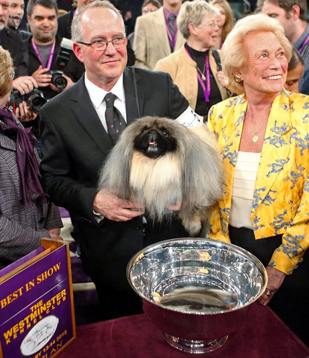 0.2012.Dog-Show.jpg