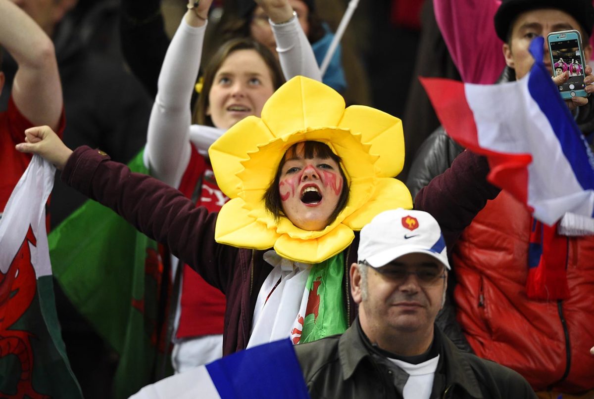 Wales-fan_0.jpg